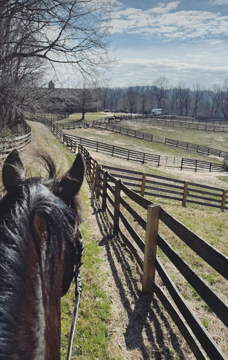 jp-dressage-kynynmont-farm-pa-36