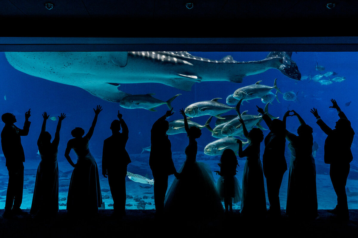 Atlanta-Georgia-Aquarium-Wedding-Engagement-Photographer-54