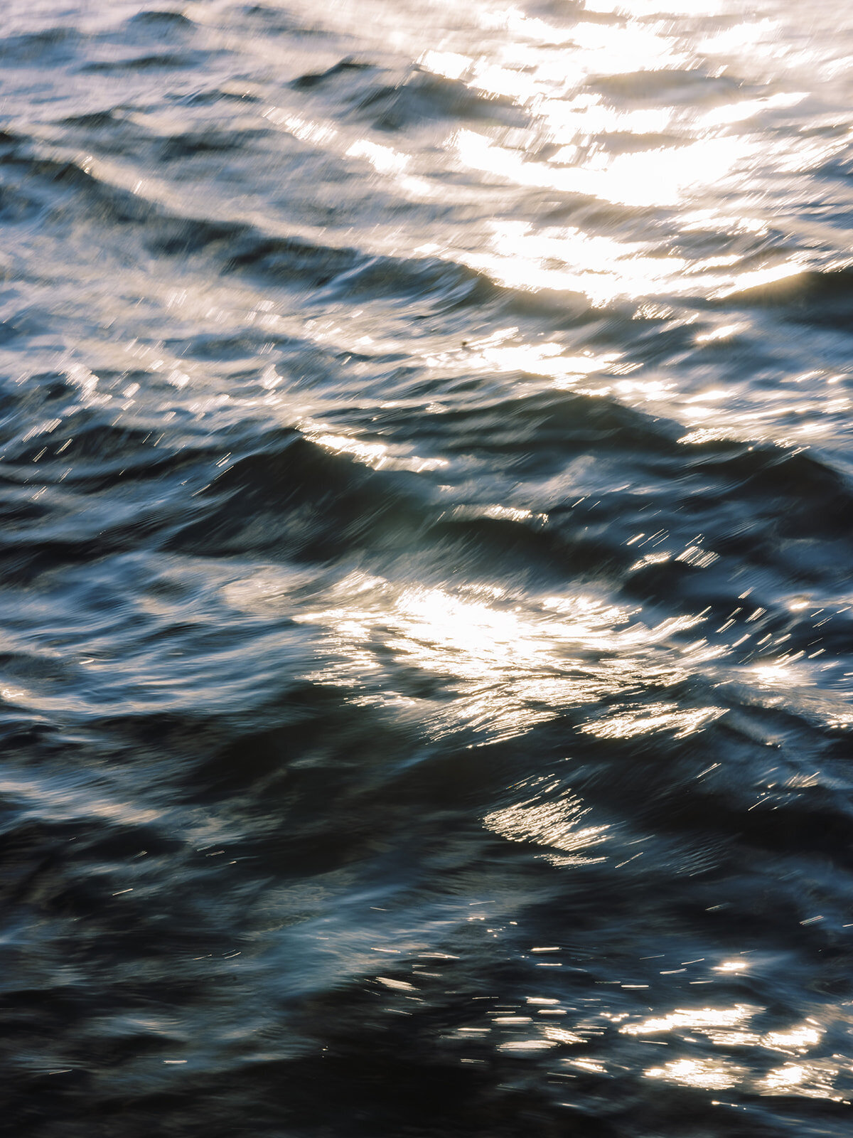 S&M-engaged-136_websize