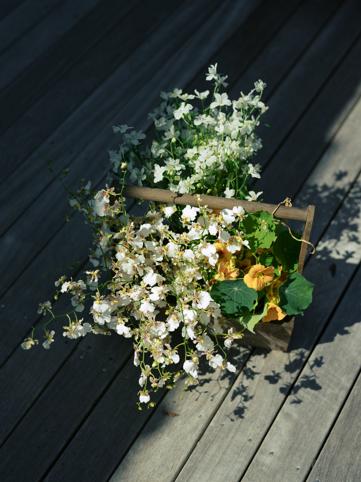 Marthas-vineyard-wedding-planner-kg-events-design-luxury-destination-weddings-private-events-corporate-events-aquinnah-ma-event-designer-outermost-inn-outdoor-tented-wedding-reception-black-frame-tent-82