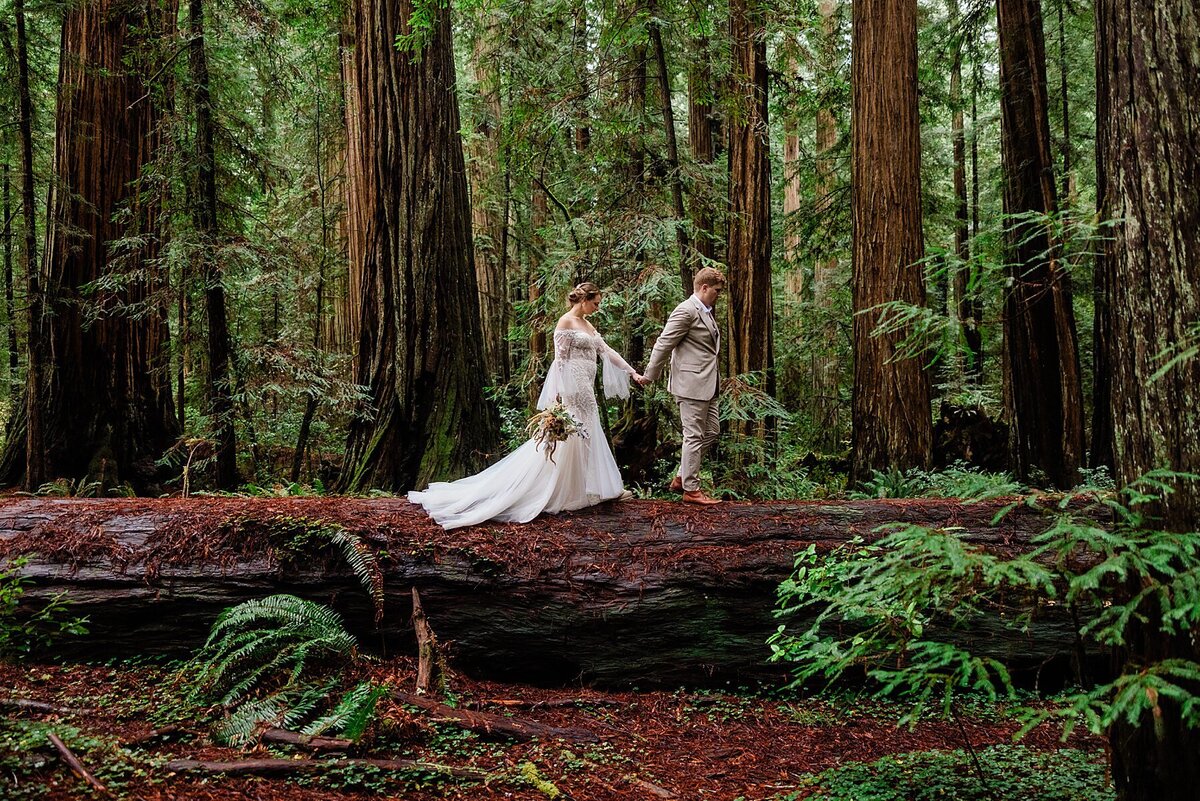 The eloping bride and groom walk along a fallen Redwood tree in Northern California.