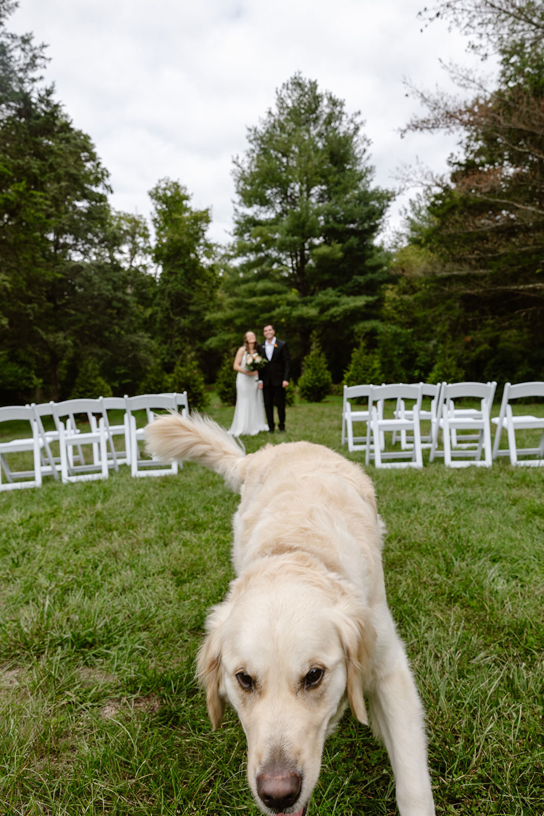 A dog running away from a couple