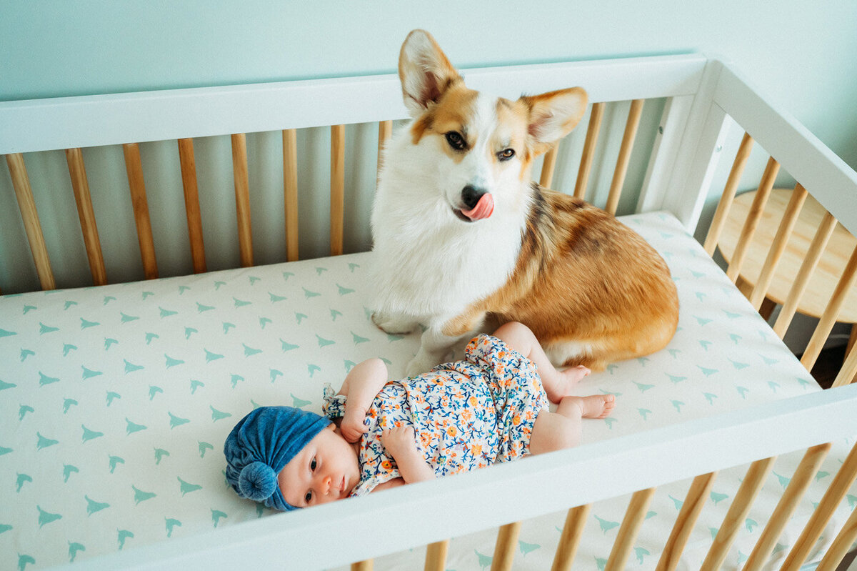 Newborn Photographer Bay Area | Brie Lynn 098