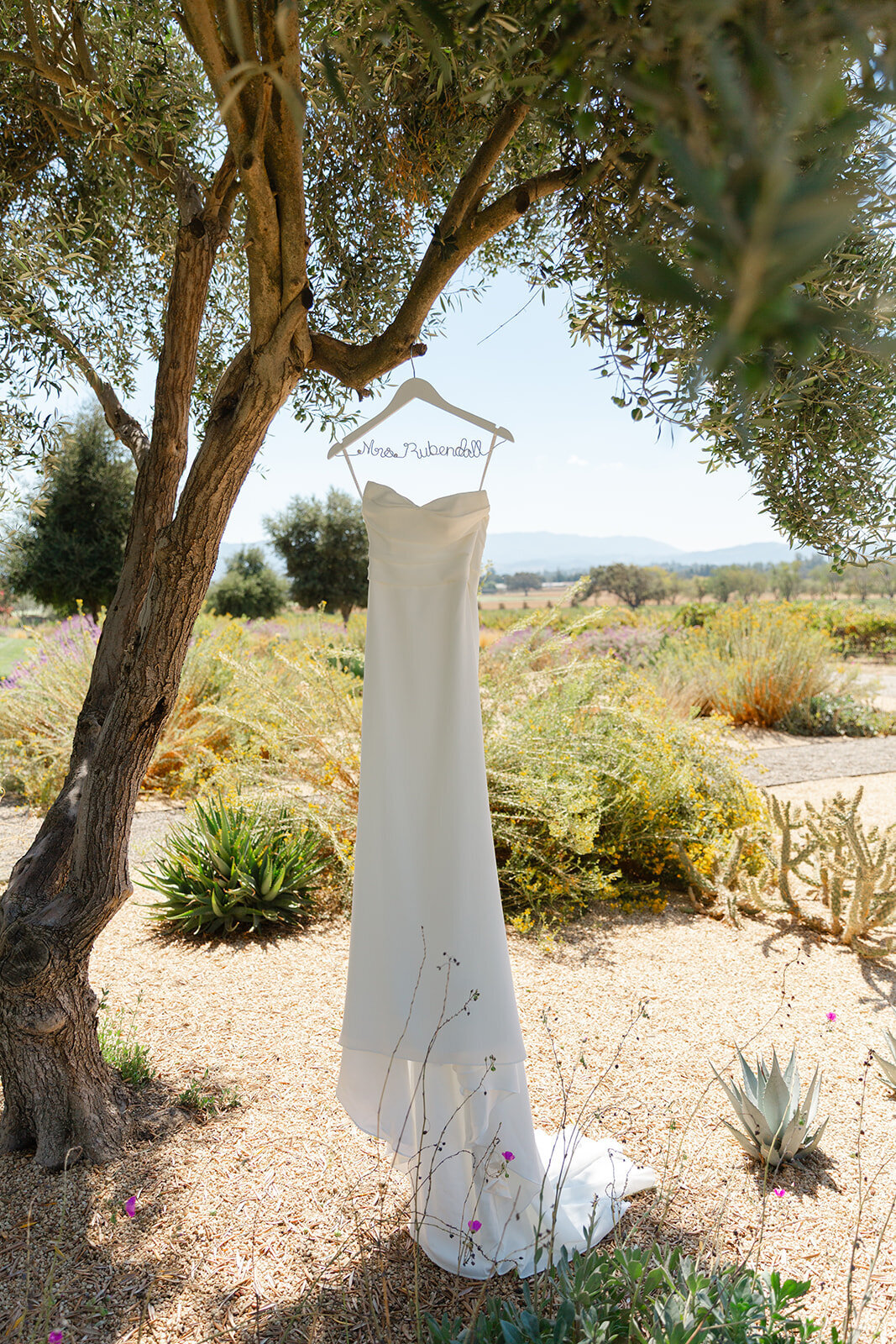 Brookeboroughphotography_jakeandzoe-7764