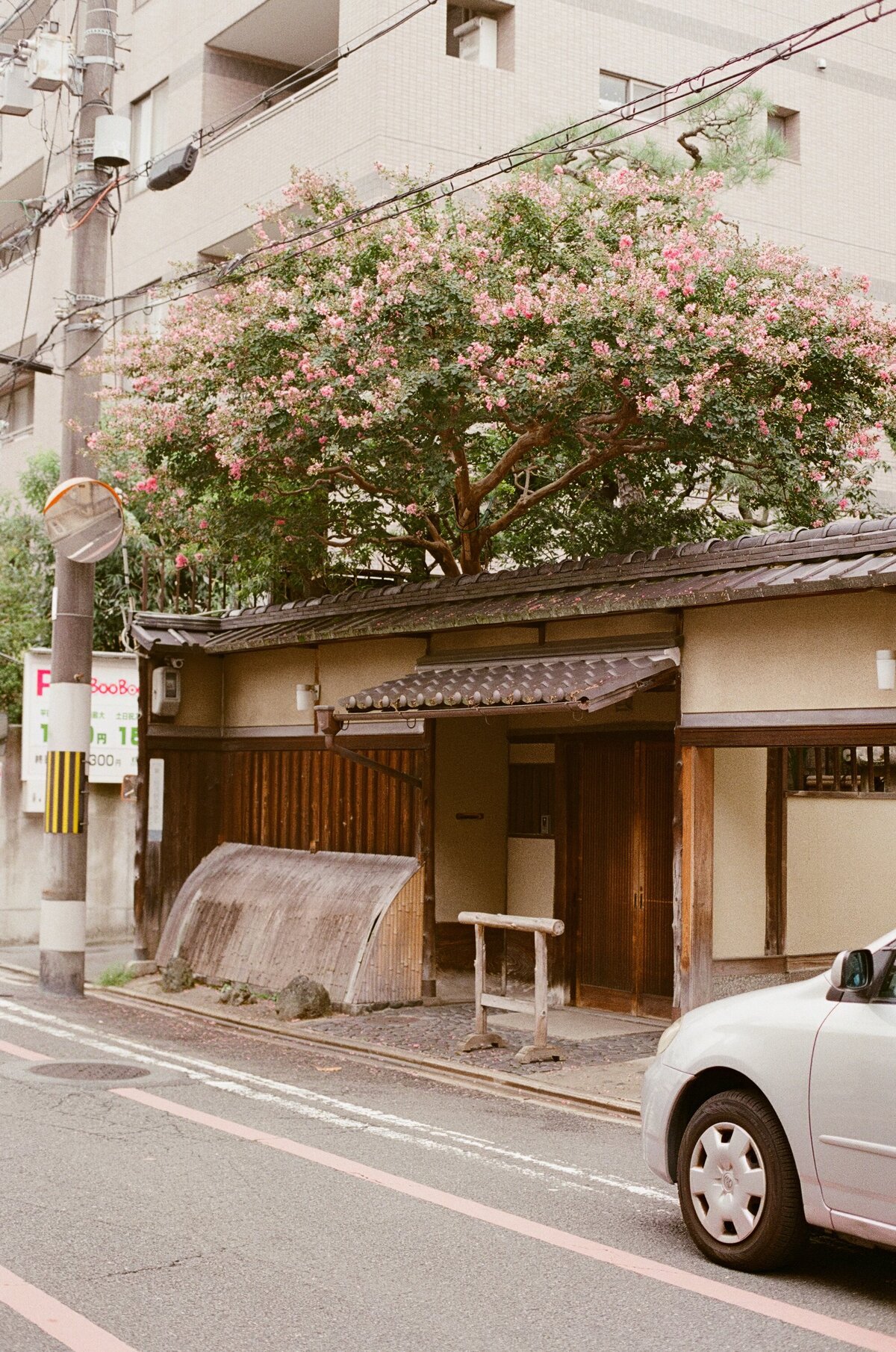 Rainstone Photography 241031 Japan & Seoul Trip-71