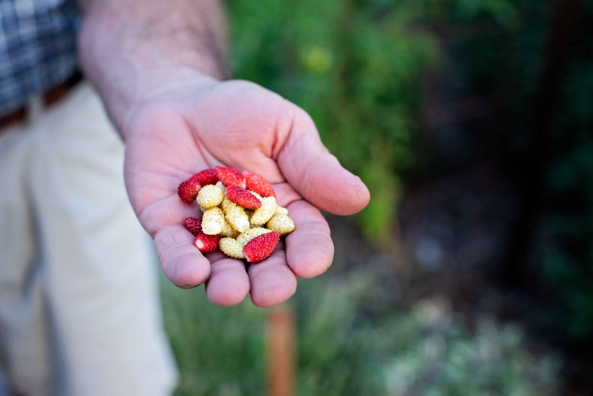 Bosler Home Garden 027