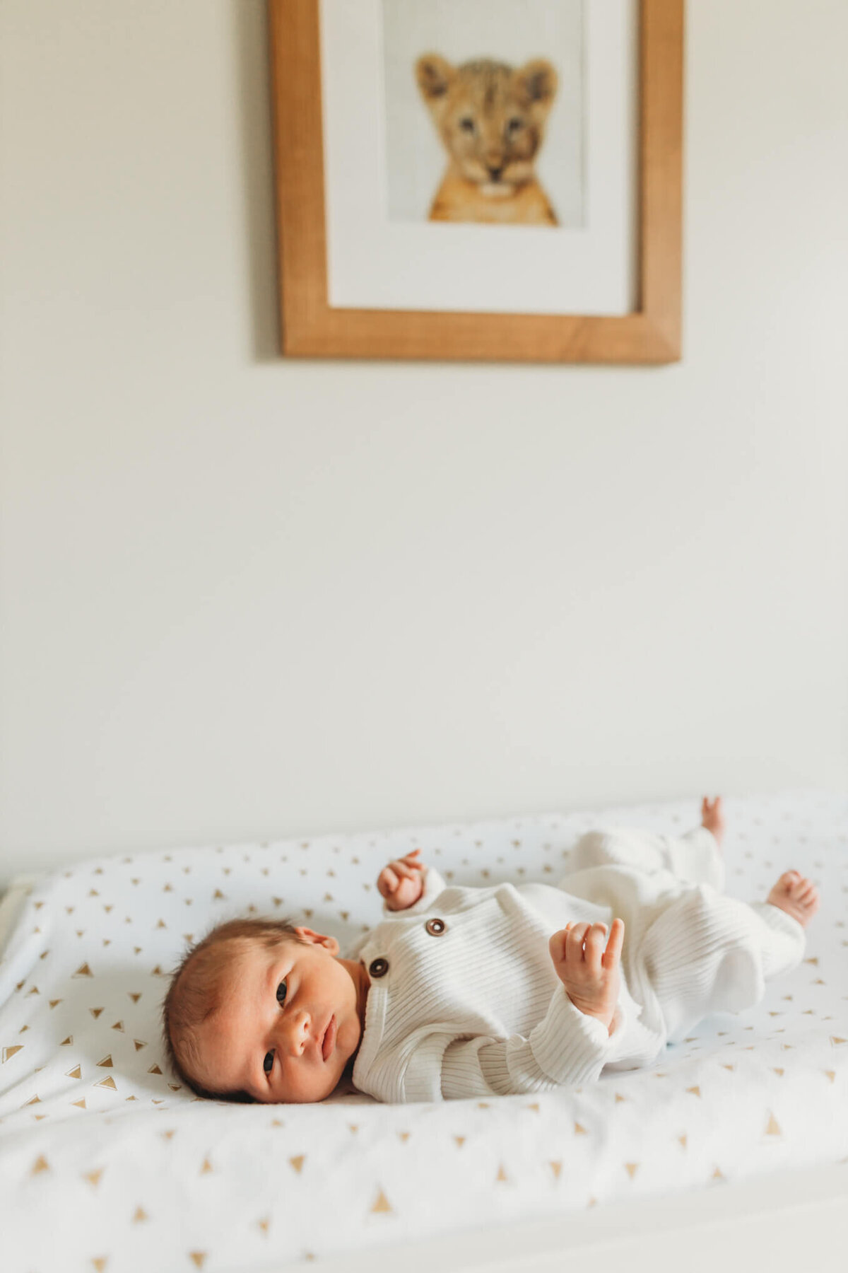 harrisburg-lifestyle-newborn-photographer-13