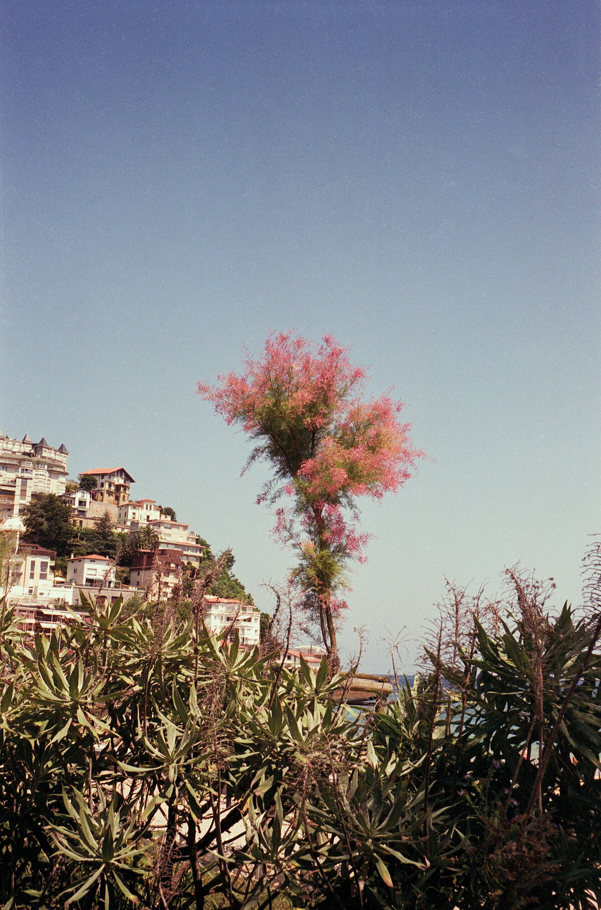 Fotoreeks_Observations_1