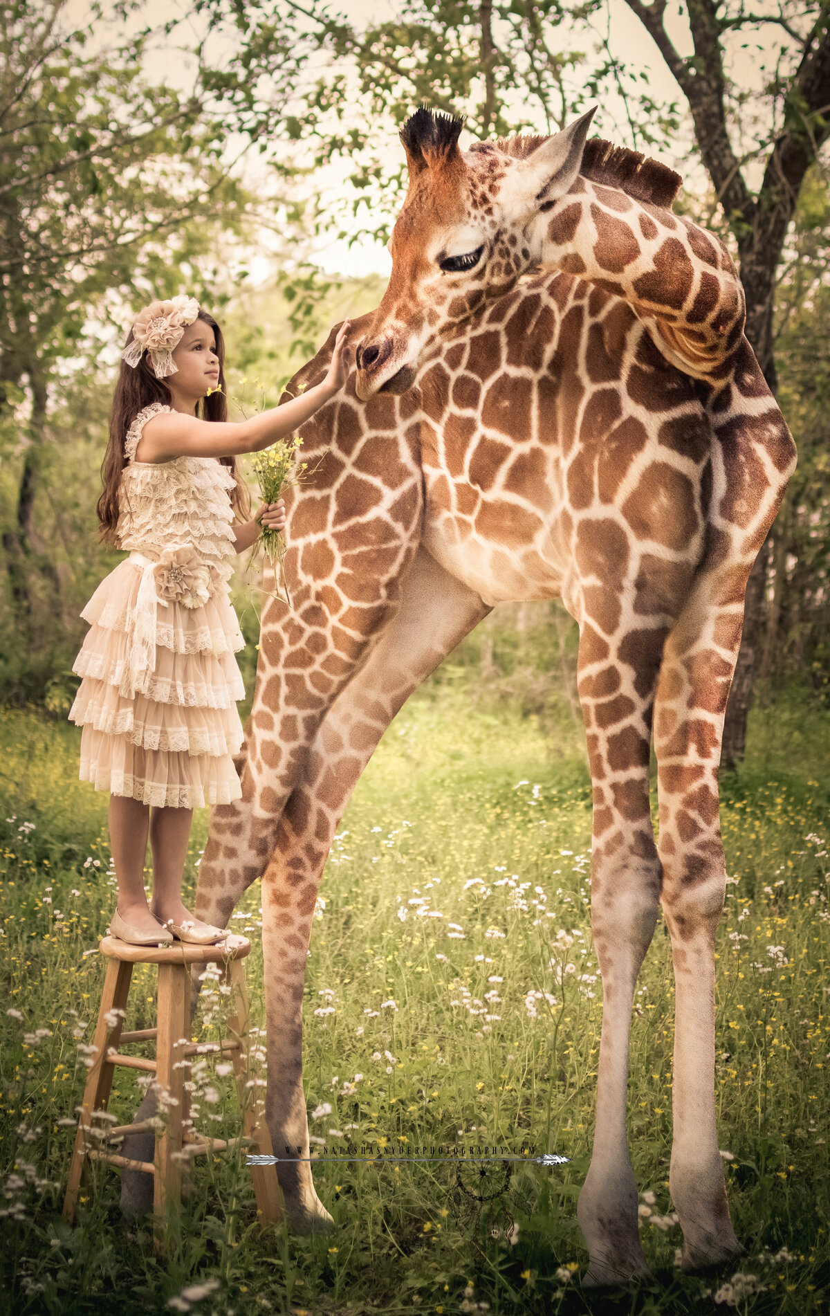 santa fe photographer with giraff imagination photography