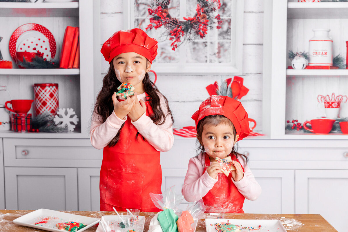 new-jersey-christmas-minis-15