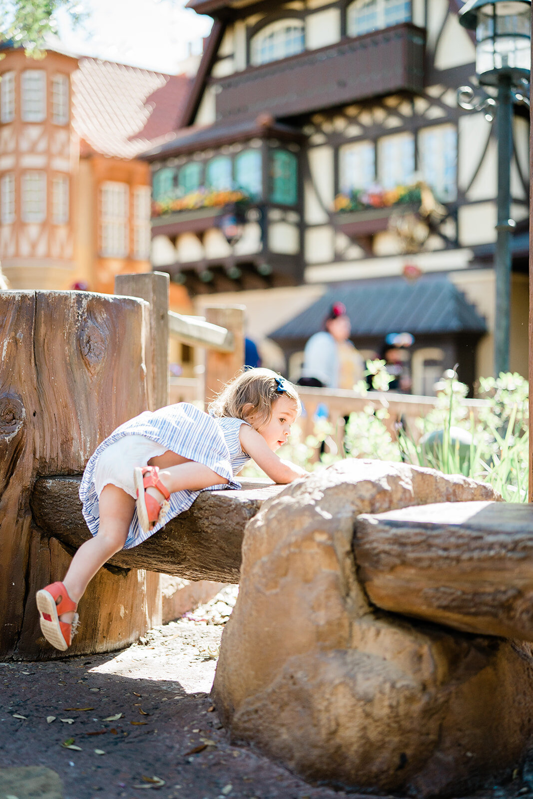 Disney Family Photos360