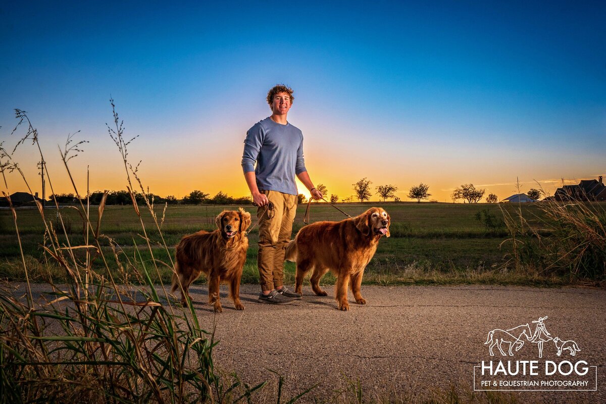 Southlake high school senior portrait of a young man walking his two Golden Retrievers at sunset.