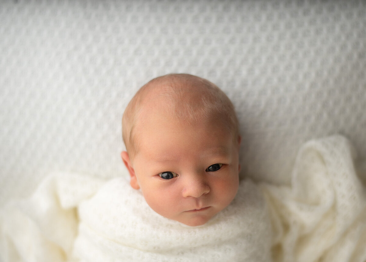baby on white, tucked in at newborn photo session