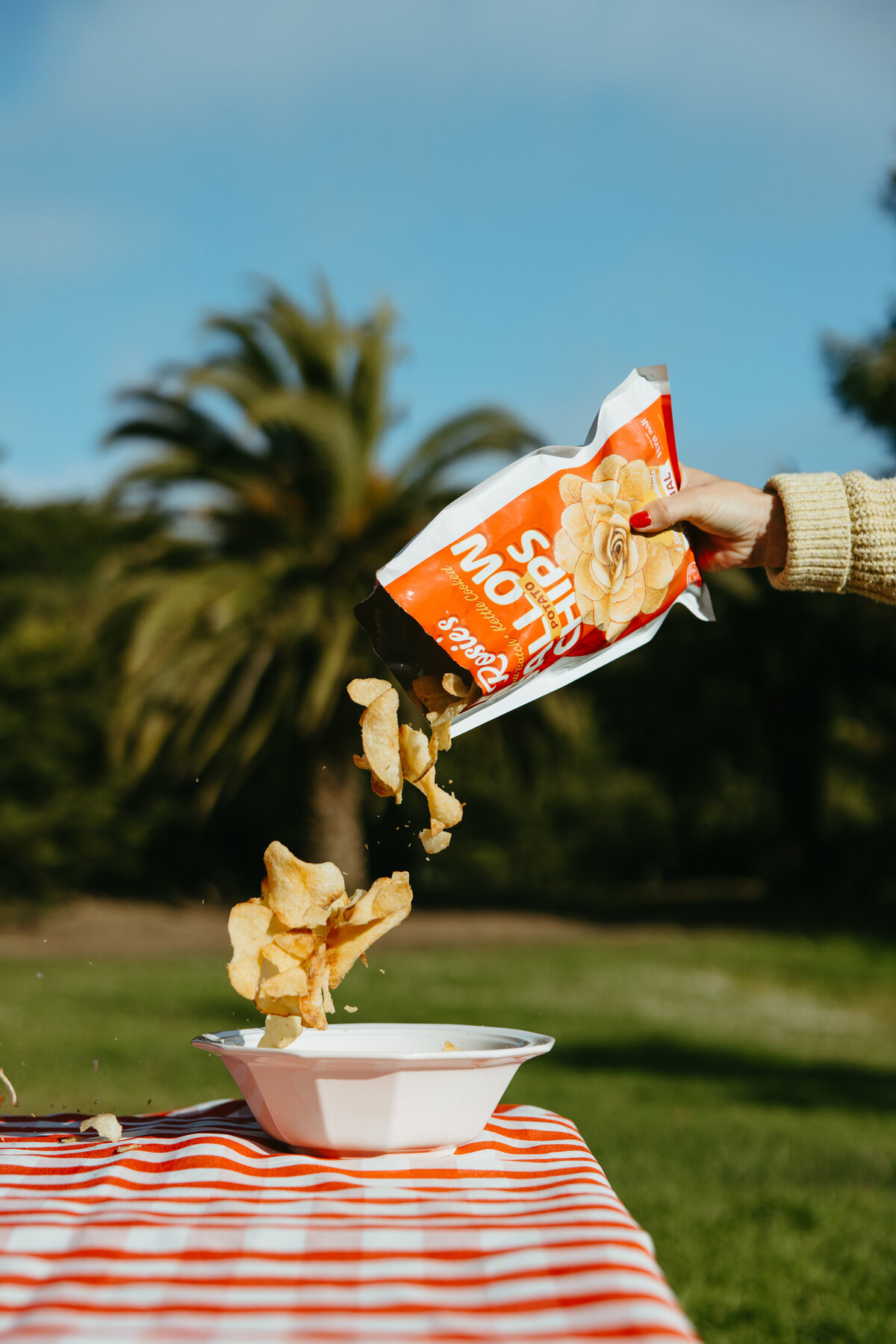 rosie'schips_megangoetzphoto-45