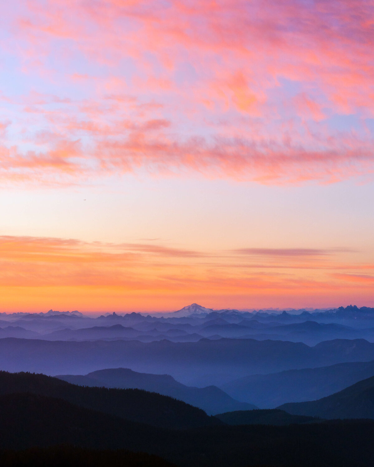 Mt. Rainier 11
