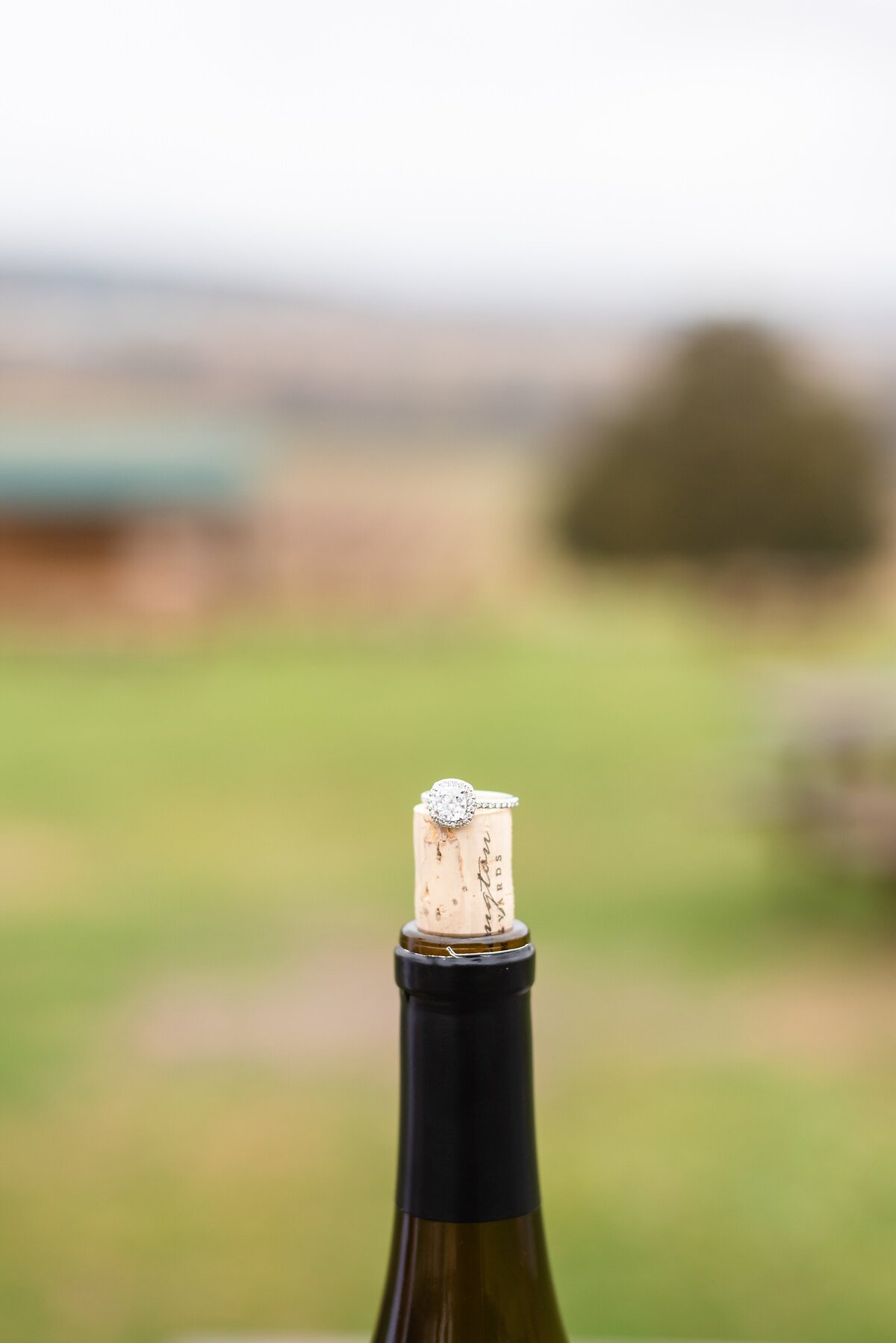 Arrington-Vineyards-Proposal-in-Nashville+9