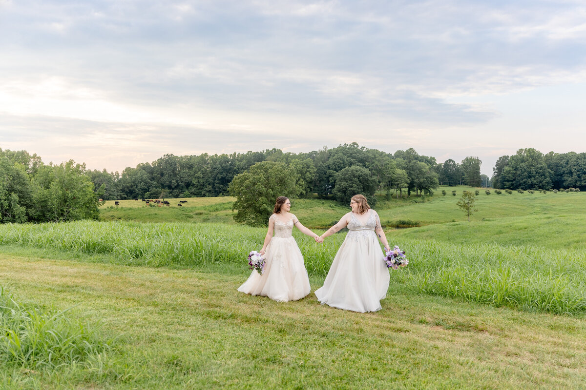 Asheville North Carolina Wedding Photographer 