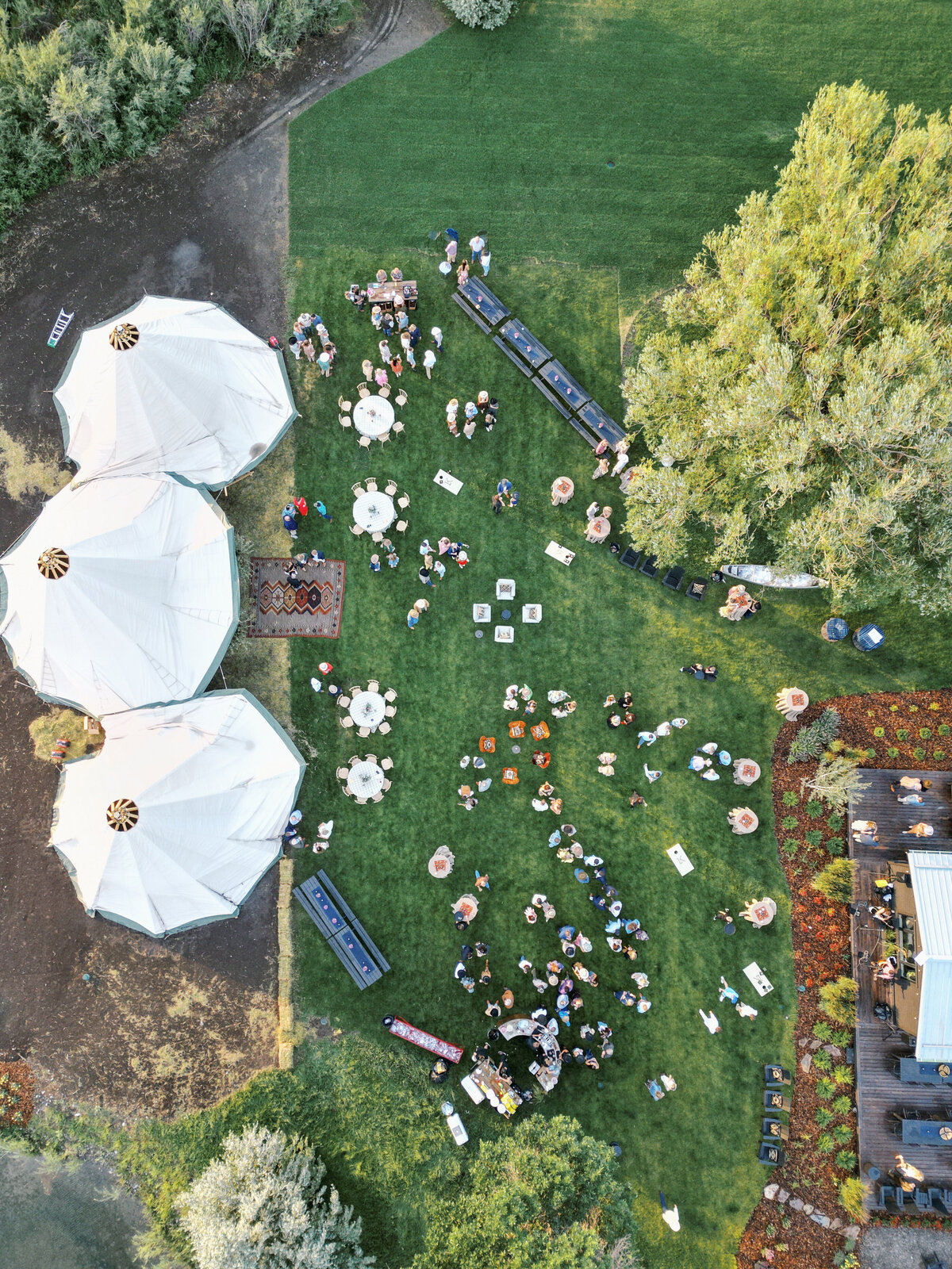 thur.preview.KL.elizabethlanier.DRONE-3
