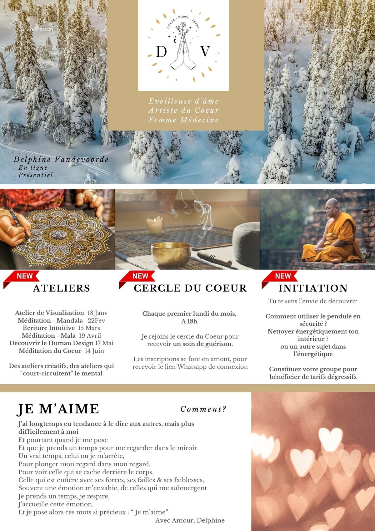 #6 Newsletter DV janvier 2025 (1)