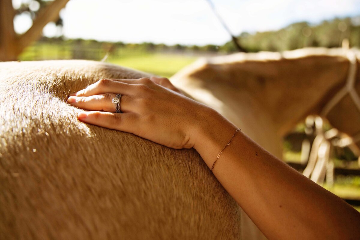 farm photography in vero beach