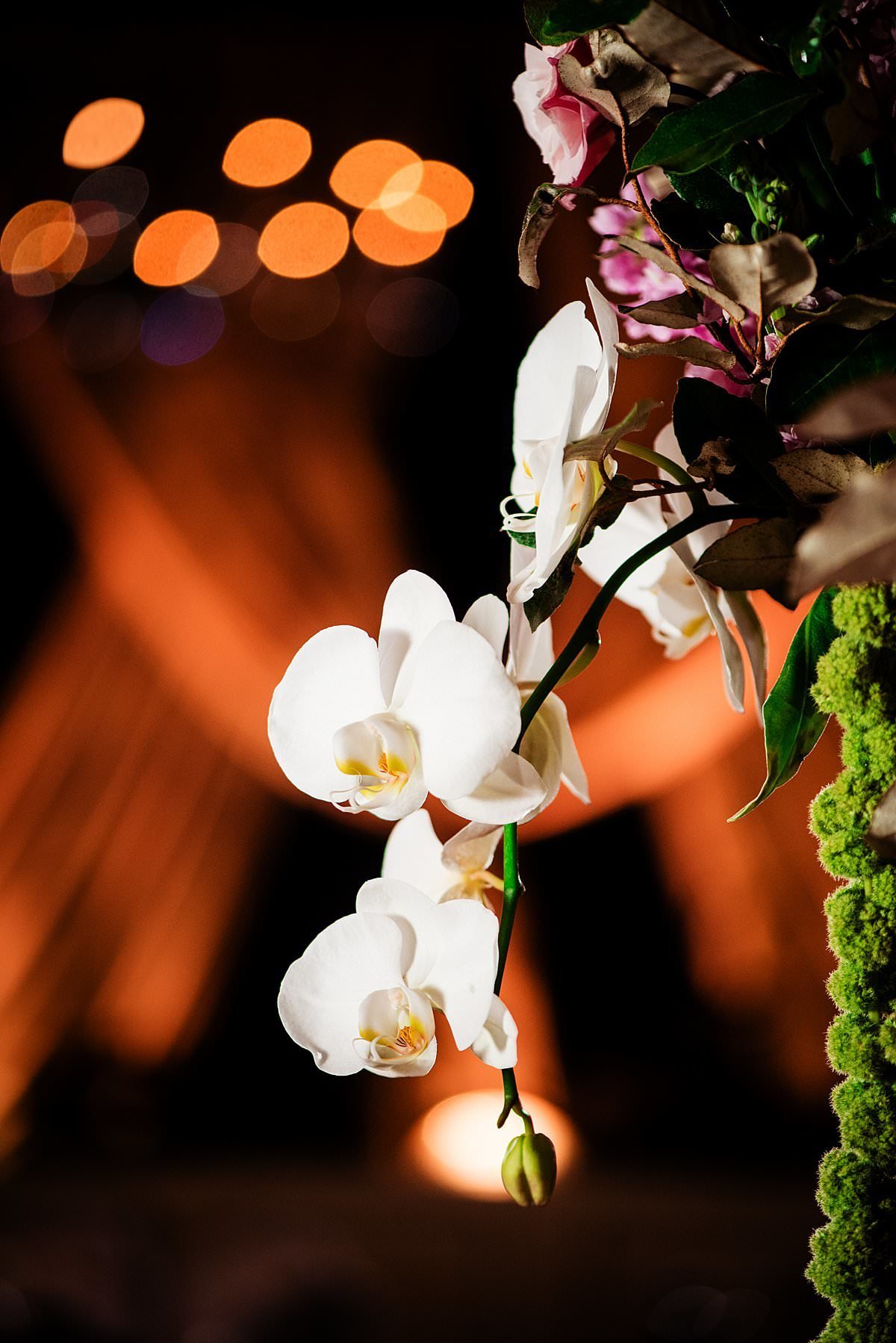 Close up photo of white orchid in a centerpiece