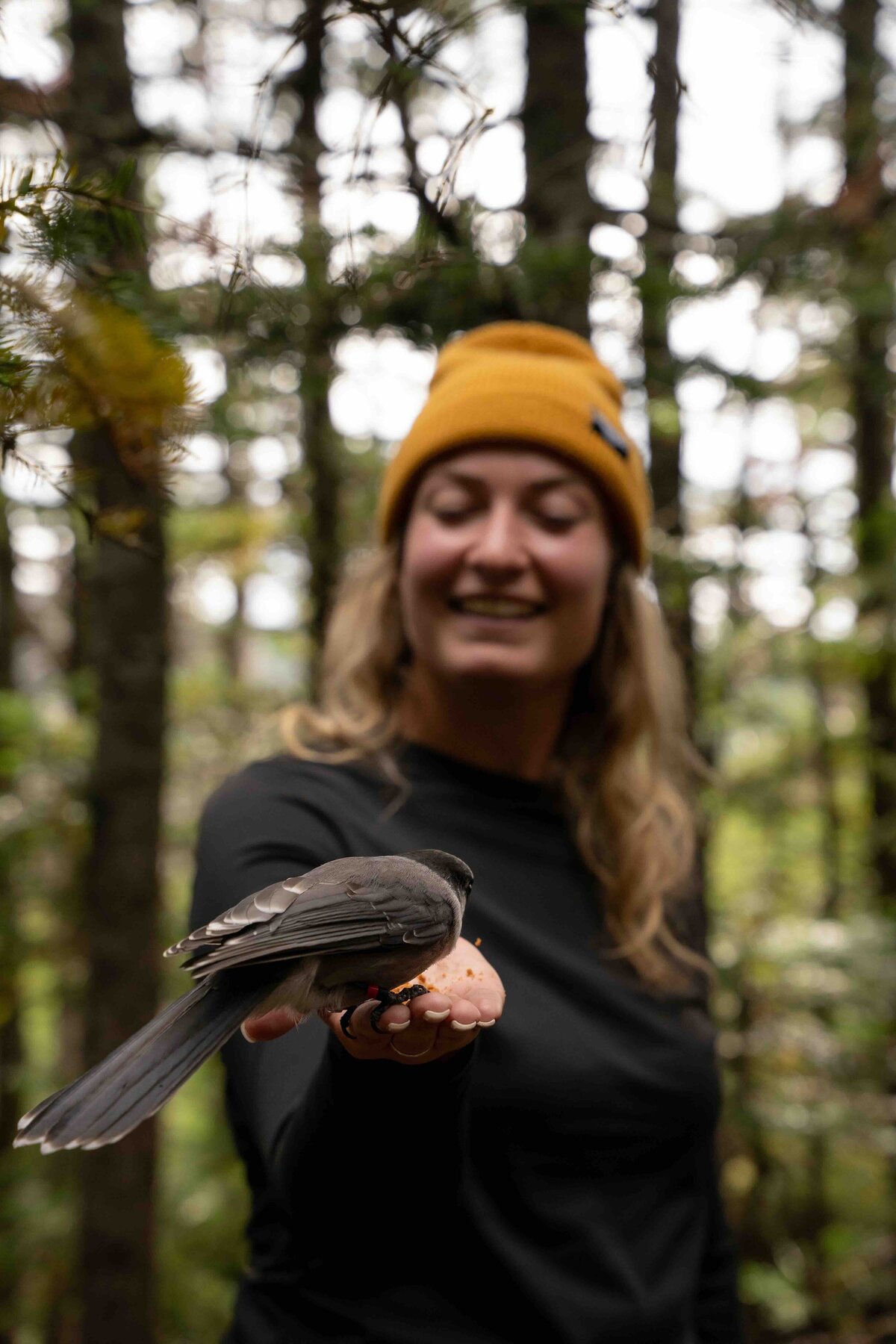 39_Meredith Ewenson Women's Group Hiking Trip_White Mountains New Hampshire_Appalachian Mountain Club_Hut to Hut_October 2025