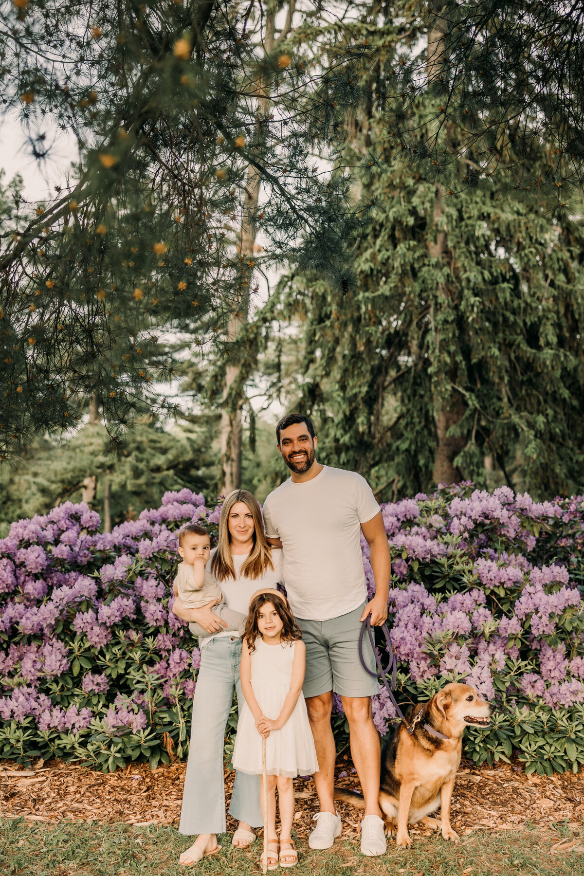 CardillFamilyColour-9