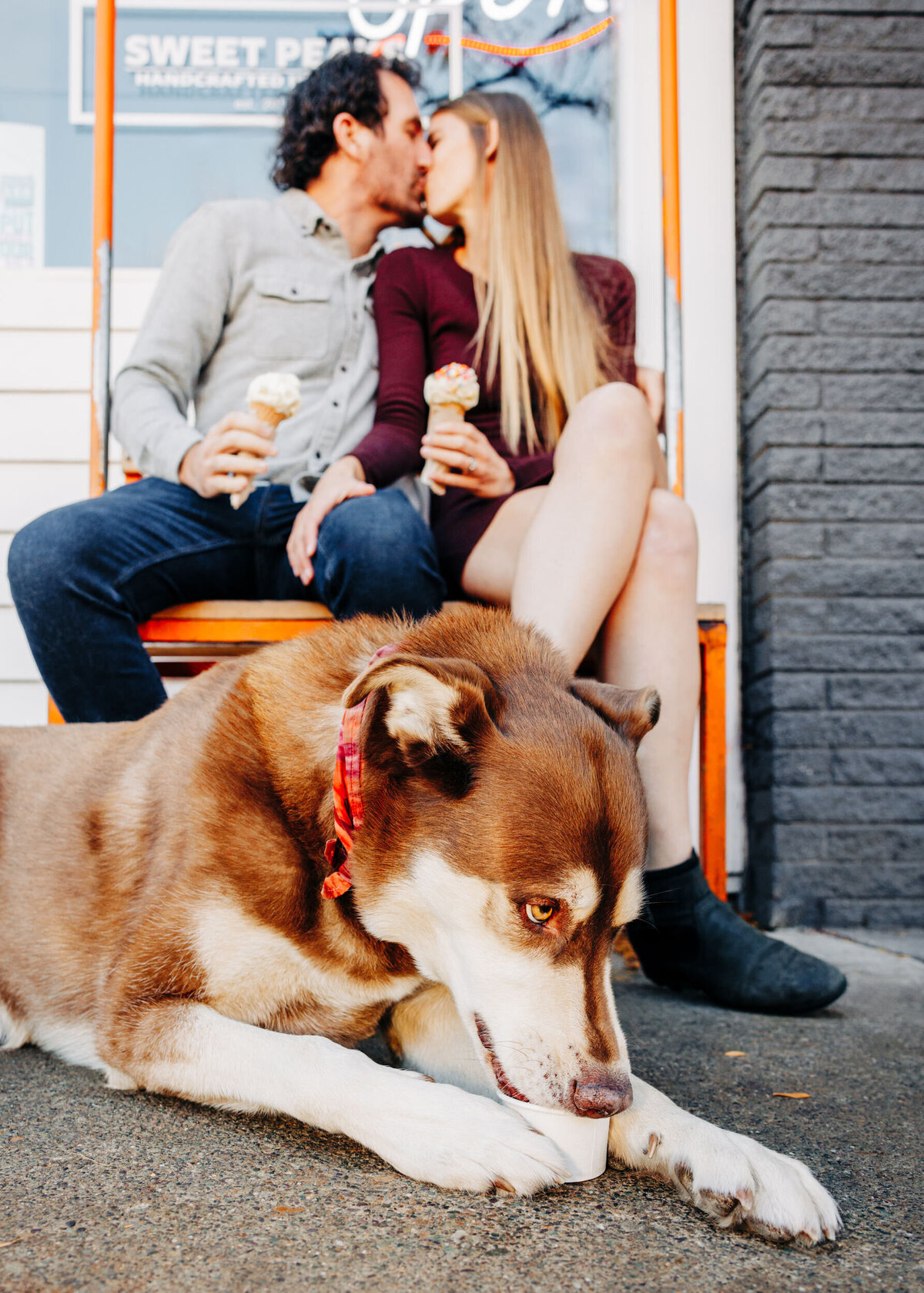 Engaged couple eating ice cream with dog at Sweet Peaks in downtown Missoula