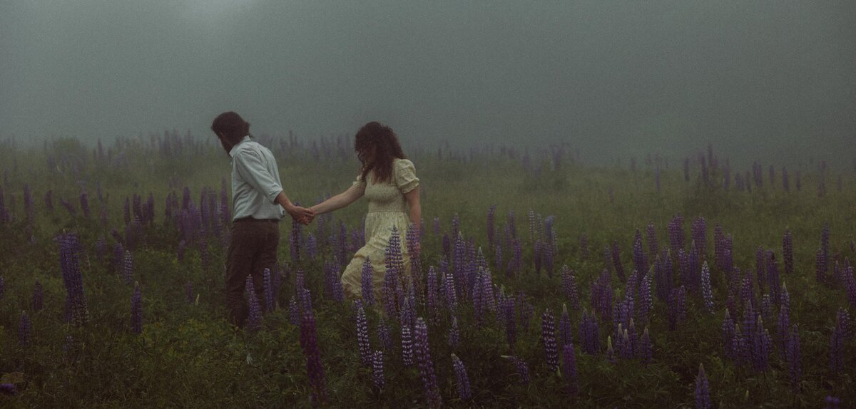 Viewing Lupines in Maine