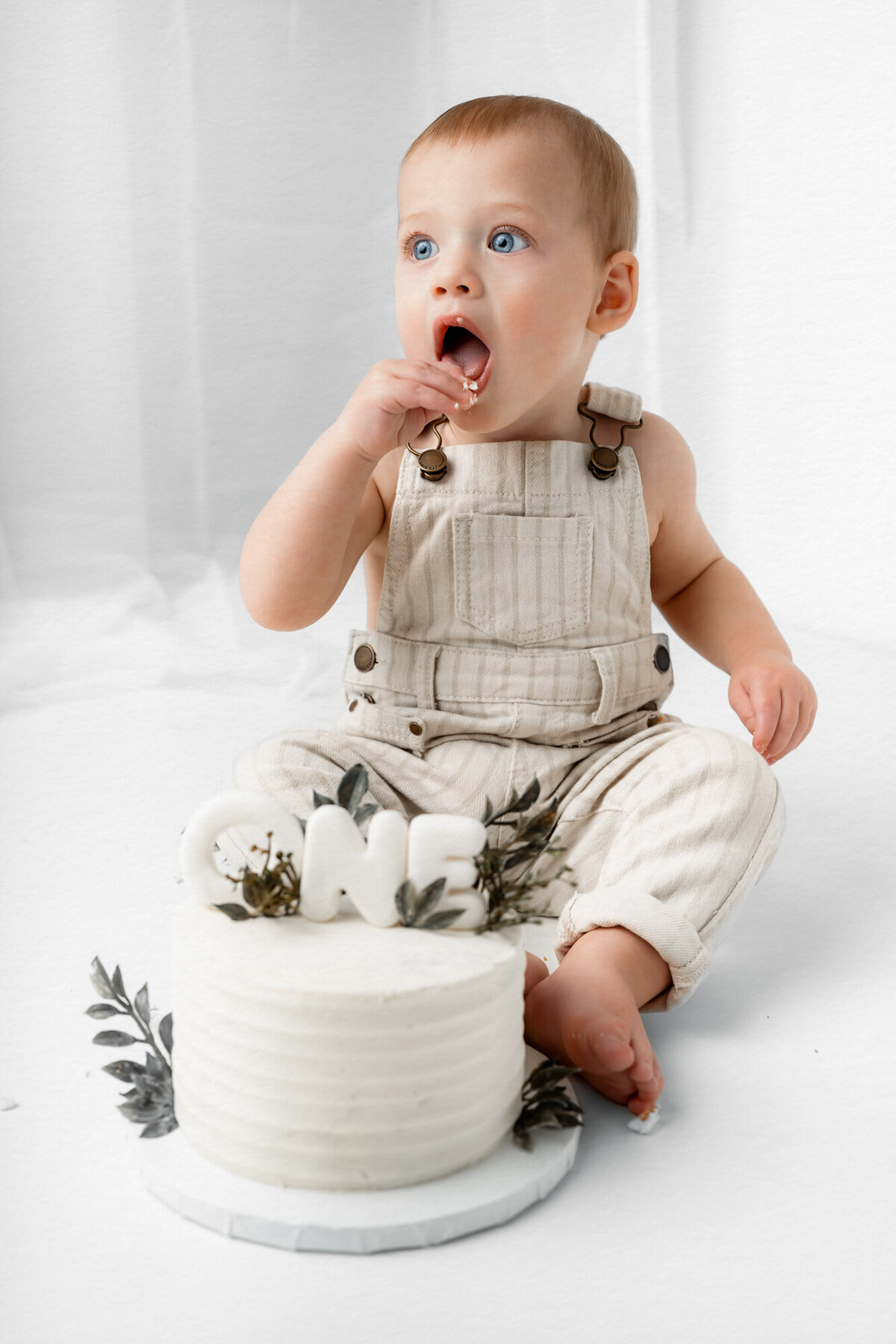 Lake Tahoe-Cake Smash-Photographer-19