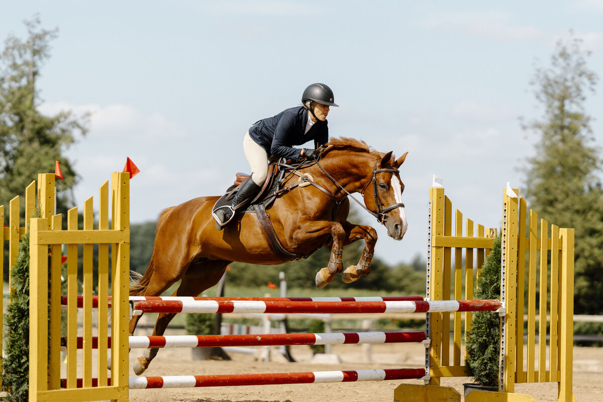 a sorrel horse with an english rider jumping a red, yellow and white jump at a Trillium show captured by a equine private client photographer based in Ontario