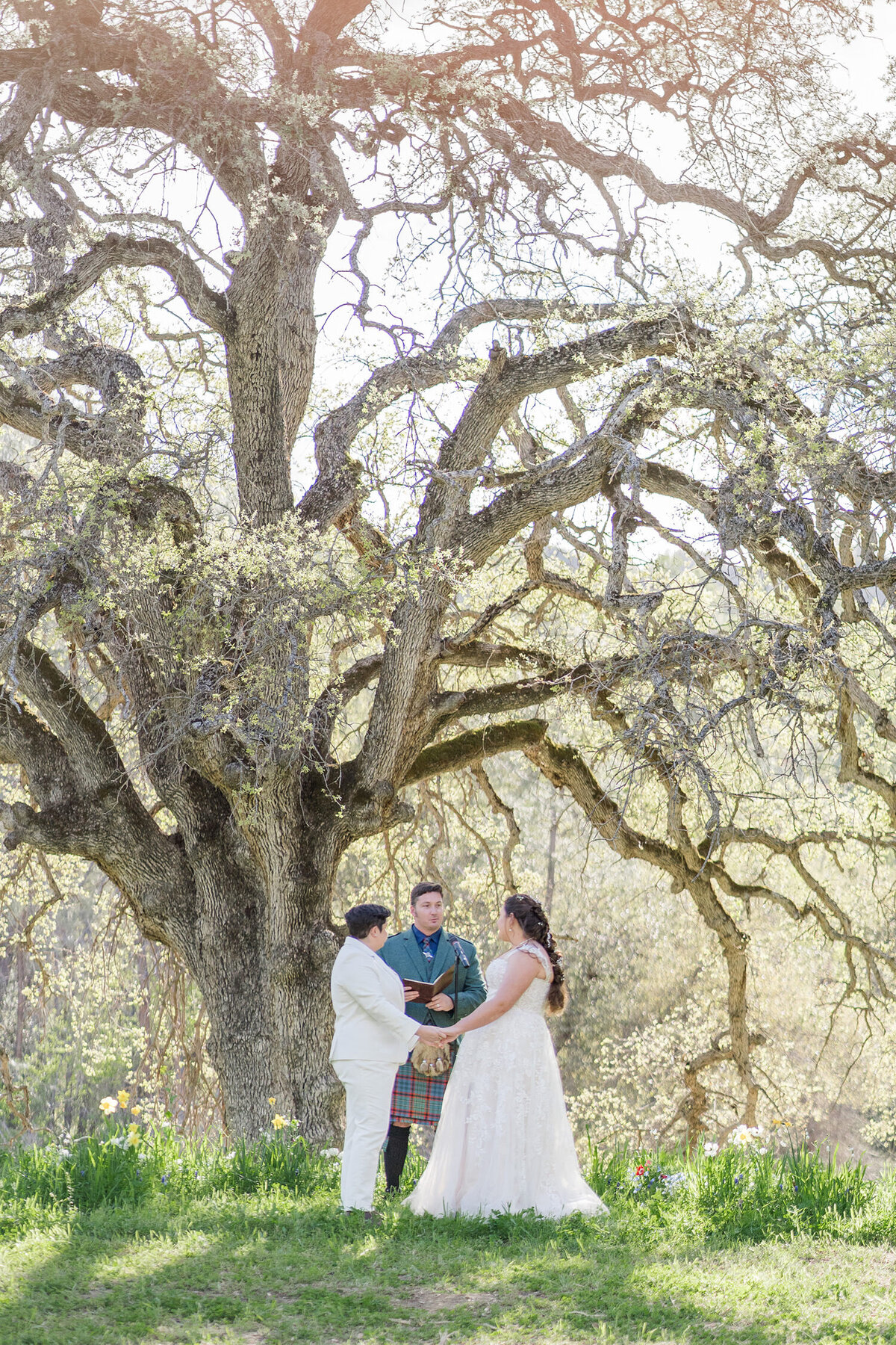 private-estate-capay-wedding-061