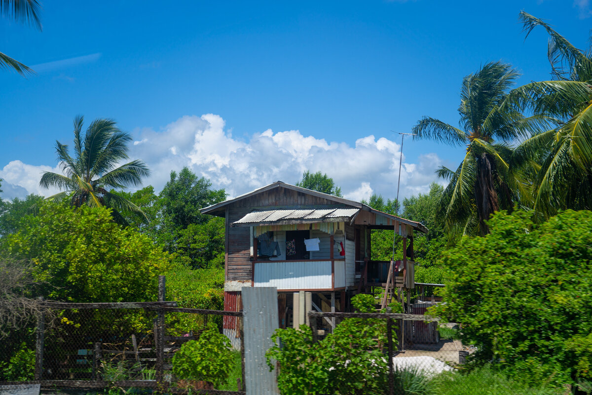 DSC00199