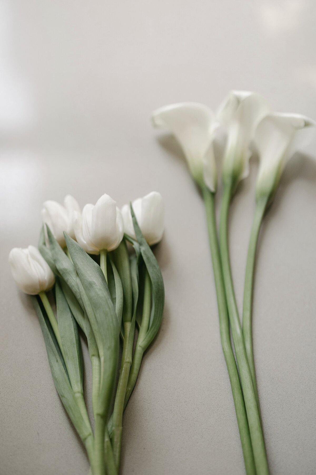 Flat lay of tulips during Boston wedding.
