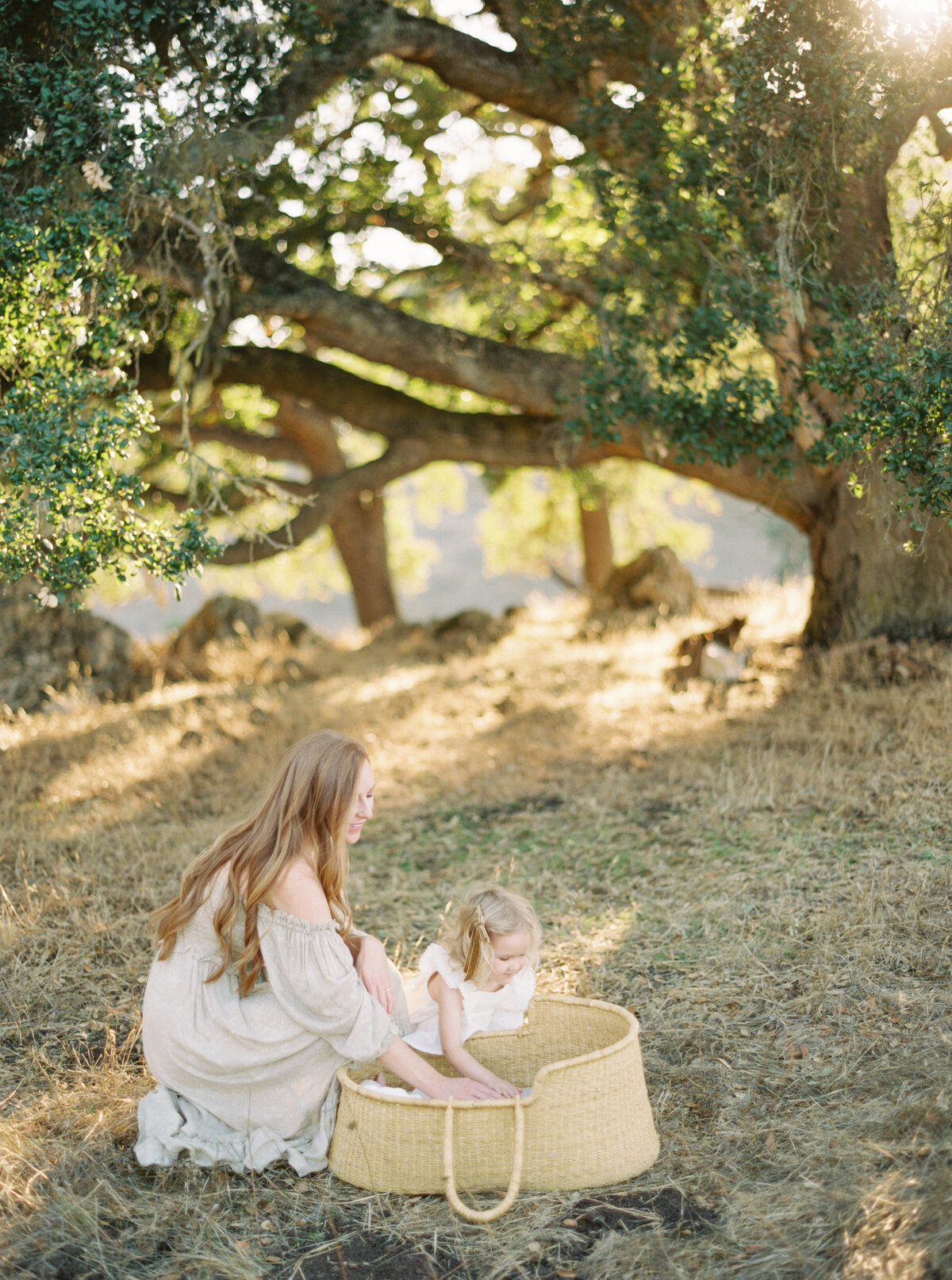 Megan Kawahara Photography San Jose Bay Area California Motherhood Newborn Family Lifestyle Womans Photography Images Portraits Light Airy Film Photos MKPhotography_ForsythFamily2022-8