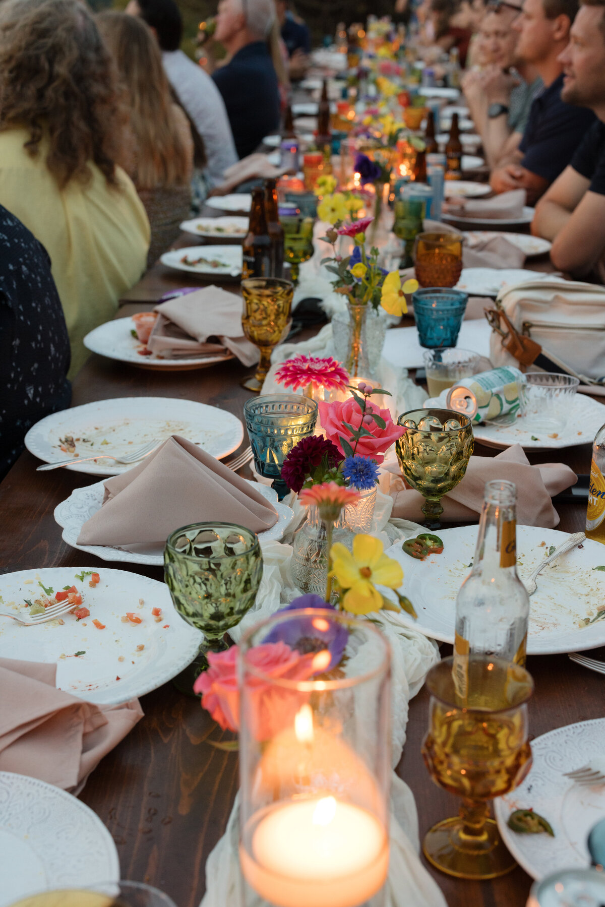 Backyard-Wedding-Rogers-MN-B&S-Will-DeGraw-Clever-Disarray-118