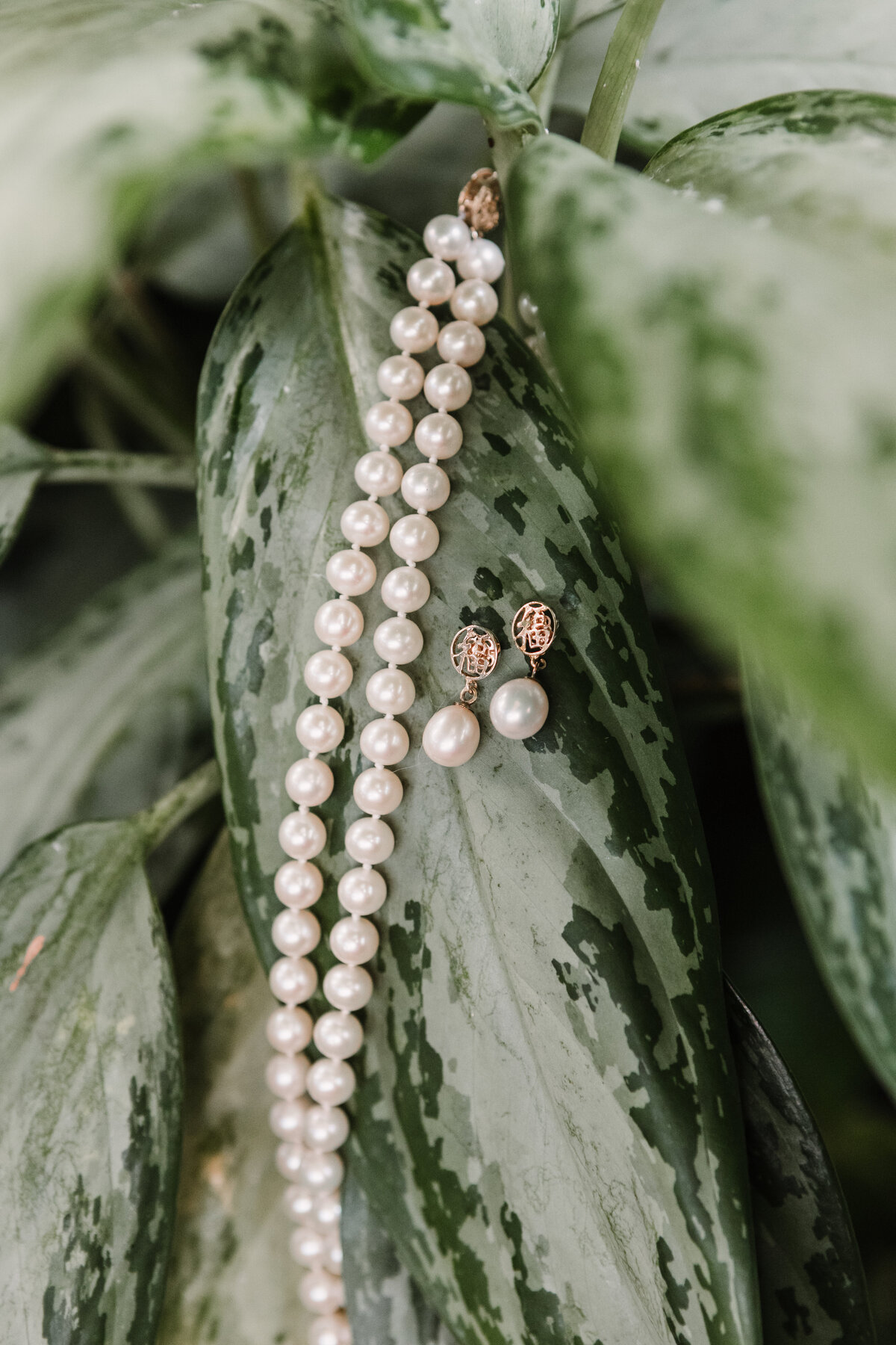 Matt & Cassidy - Wedding Preview-128