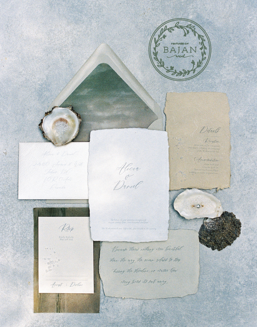 Screenshot 2024-08-19 at 10.32.22 AM