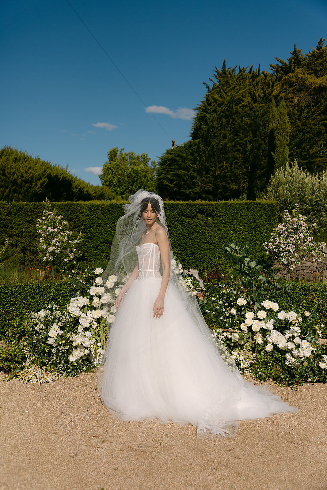 Brolga Hill Estate x Ashleigh Haase Photography-6