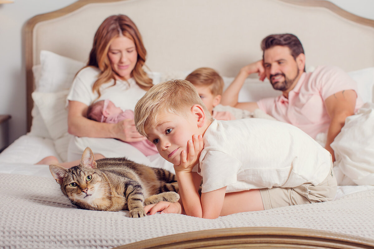 Newborn session, the older son is looking bored while sort of paying attention to the cat. The rest of the family is in the frame behind him.