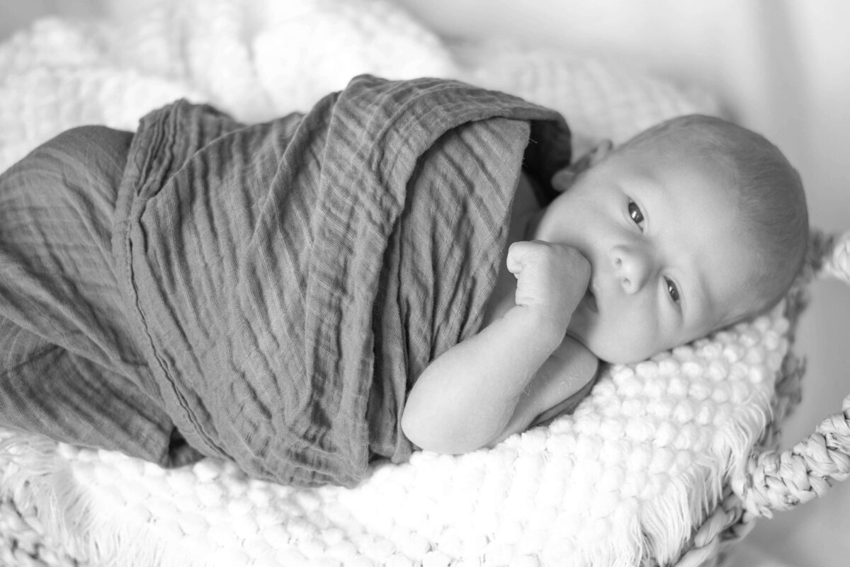 newborn-basket-black and white