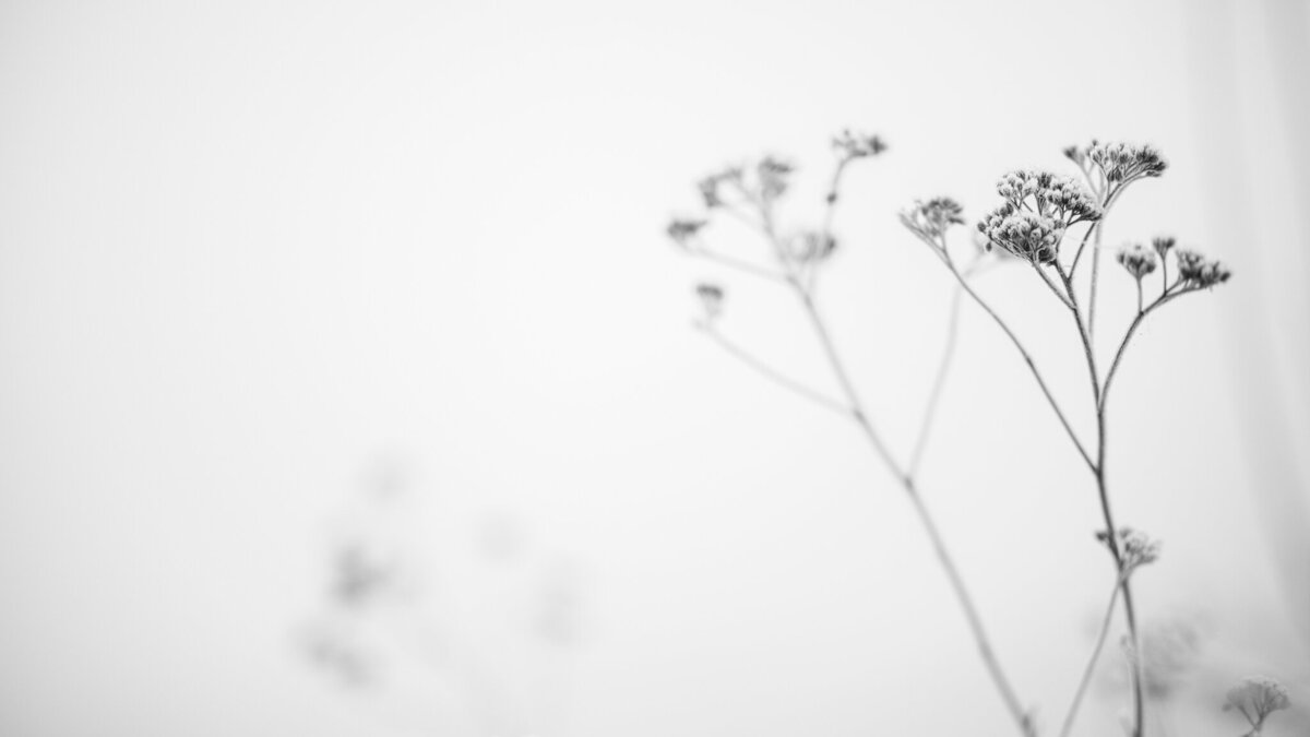 fine_art_photographer _042