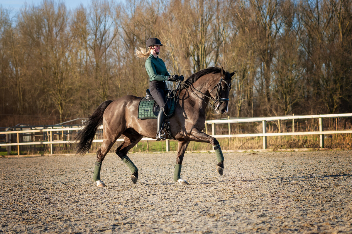Amber_280124_051