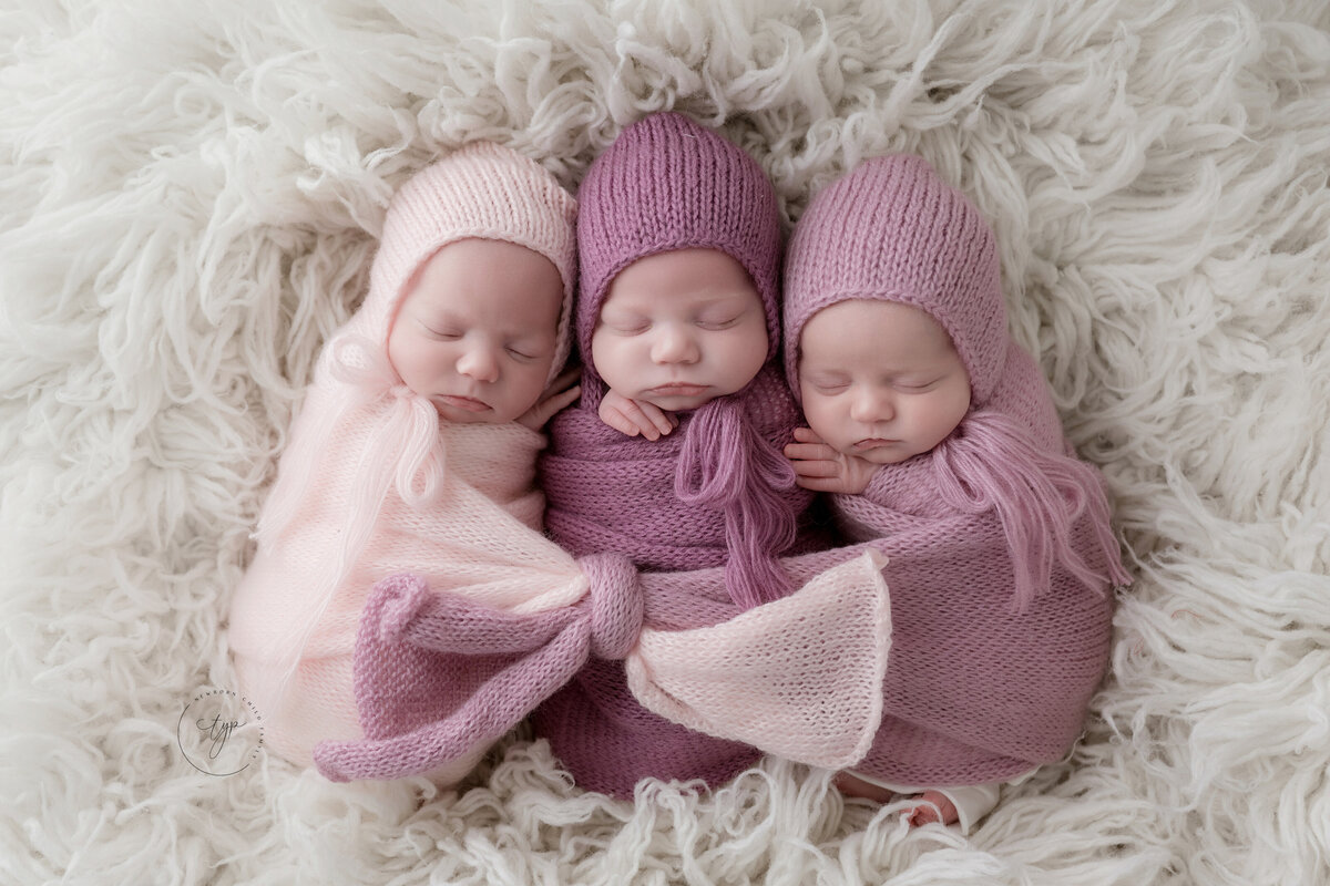 knoxville triplet newborn photography