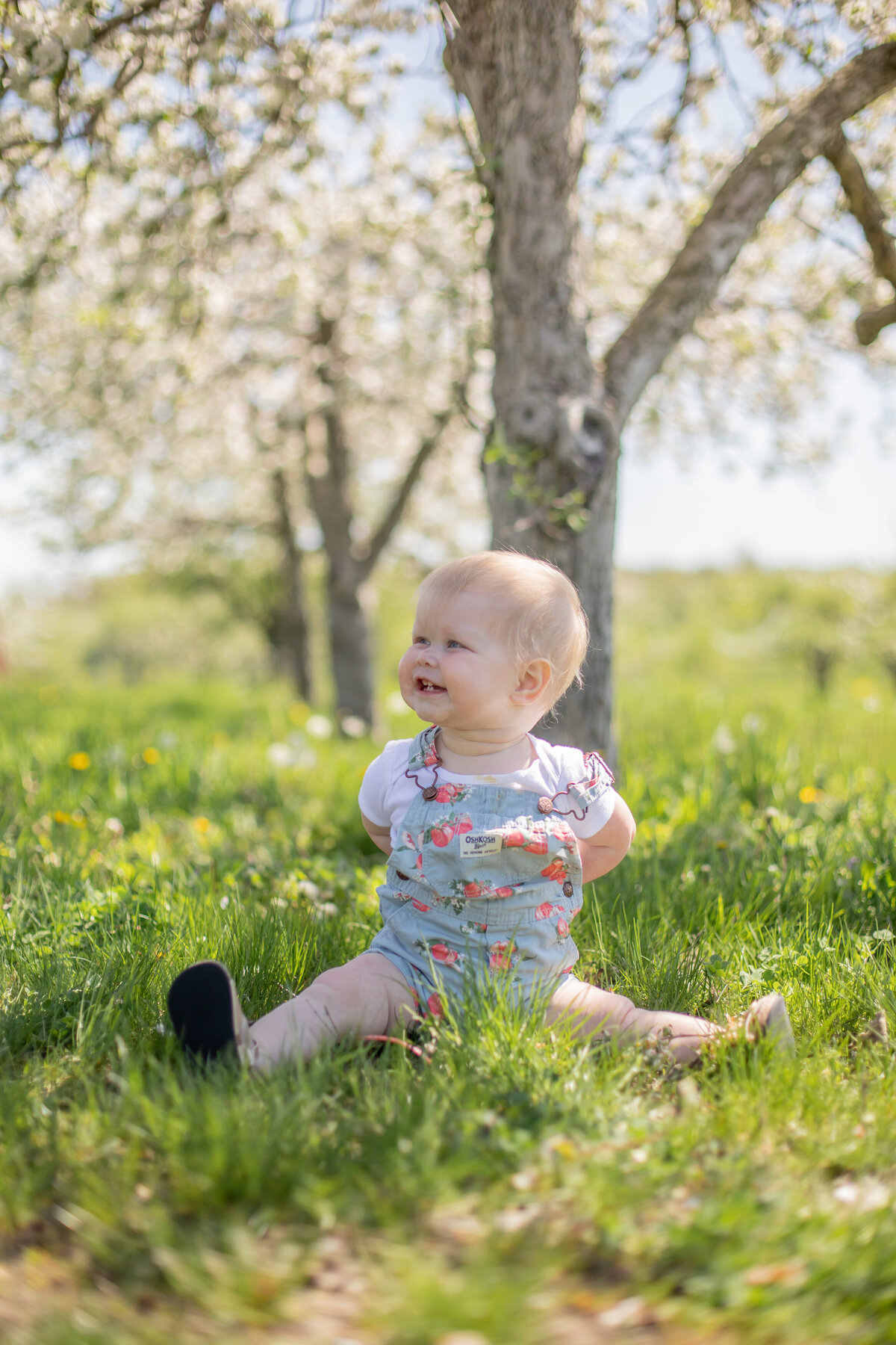 apple-blossom-baby-birthday