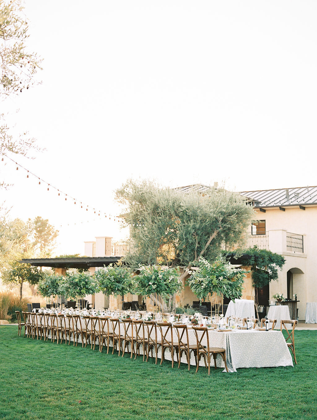 luxury-winery-wedding-detailed-touch-events17
