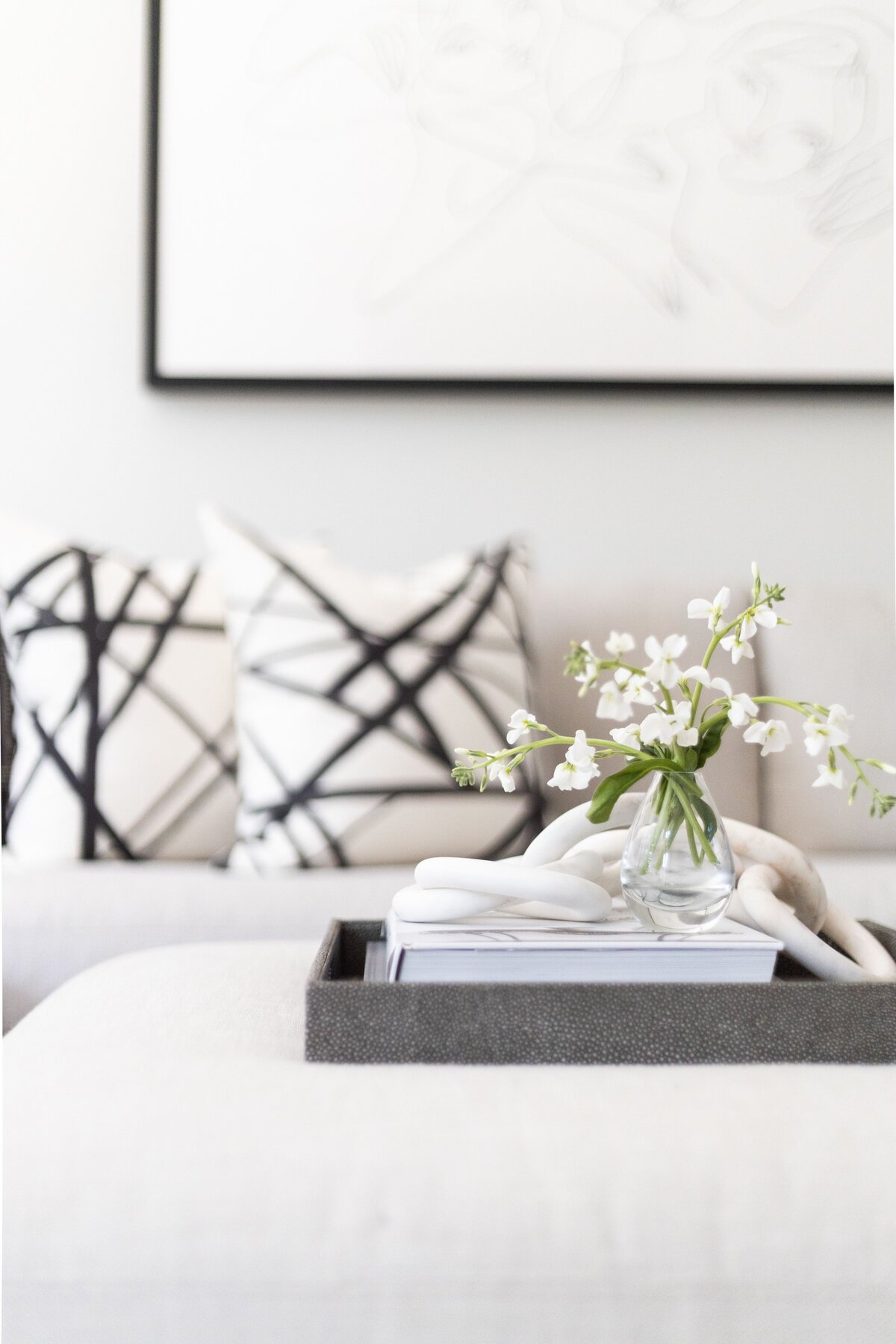 elegant-living-room-black-white-decor-brookline