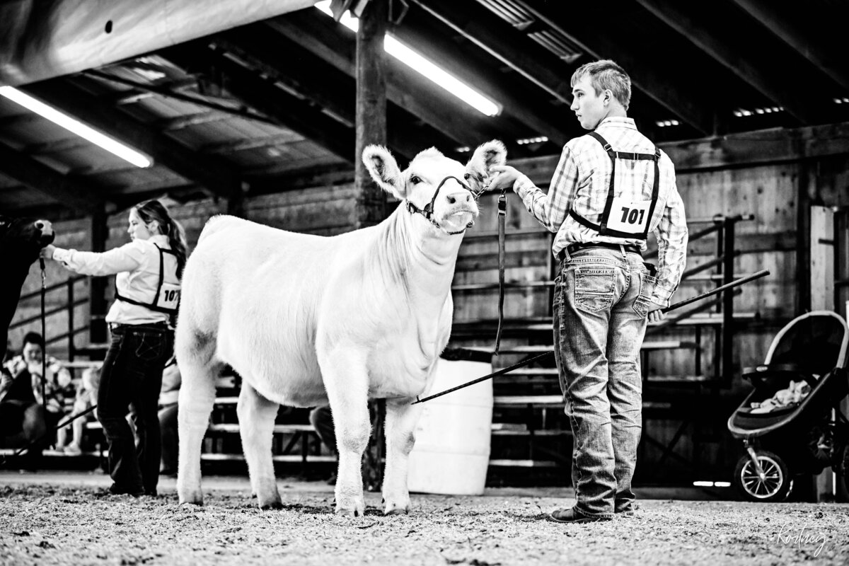 boy showing white calf on the profile