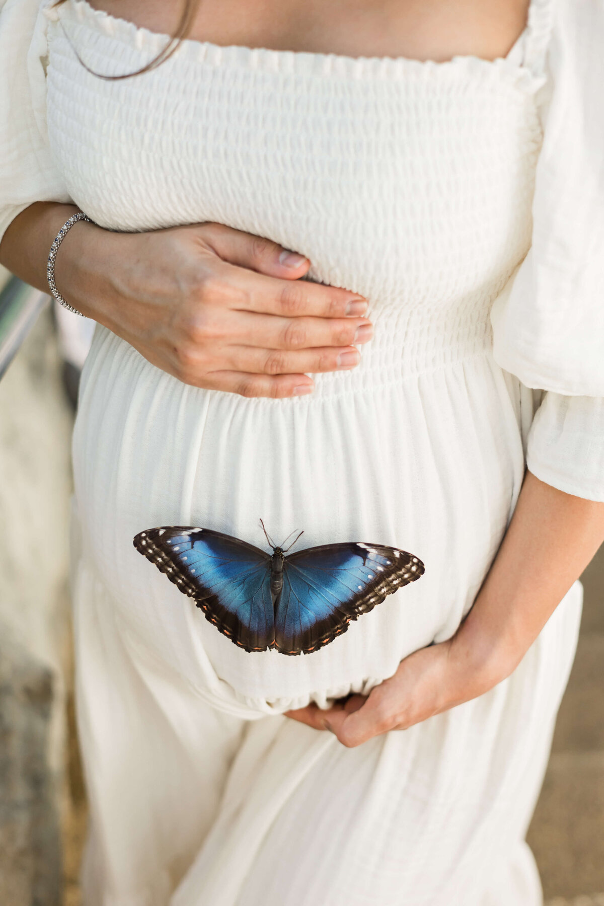 maternity-butterfly-10