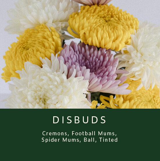 Disbuds